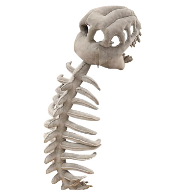 【生日礼物】正版恐龙骨架头套