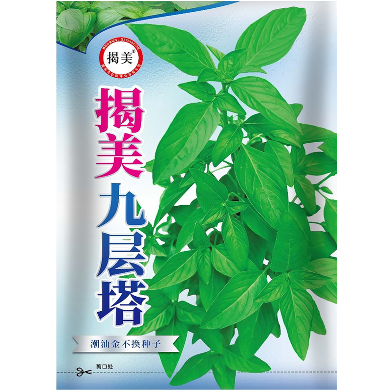 揭美九层塔种子 潮汕金不换可食用香草菜 阳台盆栽蔬菜种子500粒