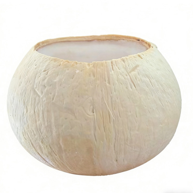 泰国椰皇壳榴莲甜品椰子冻奶茶店烘焙用香椰壳芋圆水果甜品椰子碗