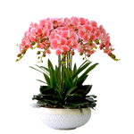 蝴蝶兰仿真花套装高档品质手感假花大盆栽摆件客厅边角几装饰摆设
