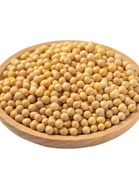 皖科园非转基因黄豆5斤打豆浆