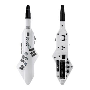 Roland/罗兰AE-05 C电吹管电萨克斯自带音源电子管乐