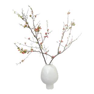 海棠垂丝贴梗西府鲜切花枝条木本水培插花室内梨花玉兰腊梅白粉色