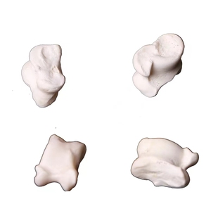 彩色真羊嘎啦旮旯哈天然真羊拐骨解压玩具80后童年怀旧羊骨头玩具