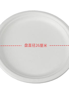 一次性绘画圆形纸10寸餐盘
