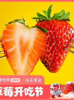 「牛奶草莓」正宗丹东九九红颜奶油大草莓核心产区顺丰空运现摘现
