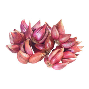 头茬红葱头老农精选干葱头火葱小香葱熬葱油特香籽可种可食可熬油