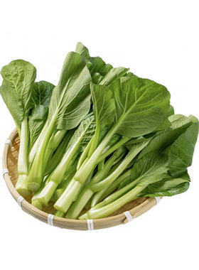 千牛优福广东菜心农家当季蔬菜