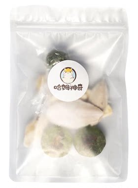 金丝熊仓鼠防咬笼越狱墨鱼骨树枝