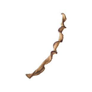 REPTIZOO爬虫攀爬藤条树藤变色龙绿鬣守宫睫角蜘蜴树蛙爬宠造景