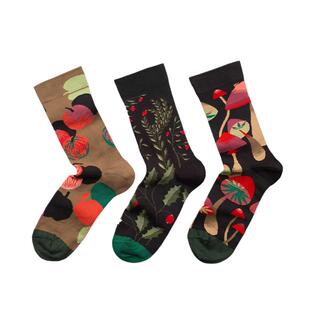 BONNE MAISON法国进口设计师潮牌炸街棉彩袜百搭长袜采摘网红中袜