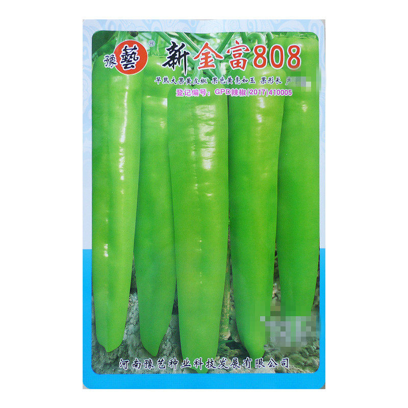 早熟大果型黄皮椒辣椒种子
