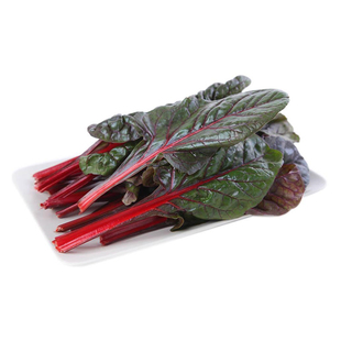 红叶甜菜种子红根达菜庭院阳台种菜盆裁种植营养蔬菜种子营养