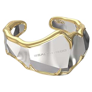 WEALTHYBOO界痕高级感耳骨夹女无耳洞冷淡风耳环精致轻奢简约新款