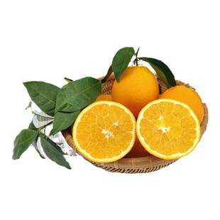 正宗大凉山雷波脐橙10斤新鲜水果橙子产地现摘现发花皮丑橙子榨汁