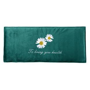 盐包热敷袋电加热盐袋海盐粗盐肩颈热敷南极家人用理疗袋艾灸艾草