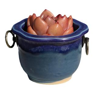 新品多肉花盆粗陶透气小拇指盆冰裂流釉陶盆帽檐铁环老桩盆控养盆