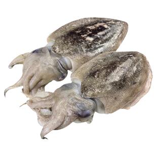 3斤墨鱼鲜活新鲜大墨鱼超大乌贼舟山海鲜水产八爪鱼目鱼花枝爆头