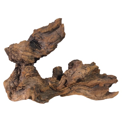 天然鱼缸沉木已摸已煮