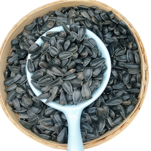 2025年新货生瓜子葵花籽油葵籽黑珍珠内蒙古赤峰迷你小新鲜瓜子