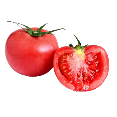 密云原味一号西红柿番茄自然熟