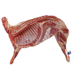 宁夏盐池滩羊小半只新鲜羊腿羊排羊蝎子羊肉卷羊肉串年货送礼8斤