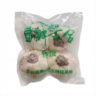 兰州十年生甜百合当季现挖 新鲜食用真空包装农家精选鲜百合
