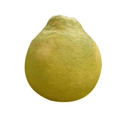 正宗梅州老树沙田柚金柚纯甜无酸