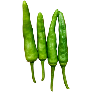 正宗寿禾樟树港辣椒种子原种籽孑苗岳阳特产湖南高产辣椒苗秧苗