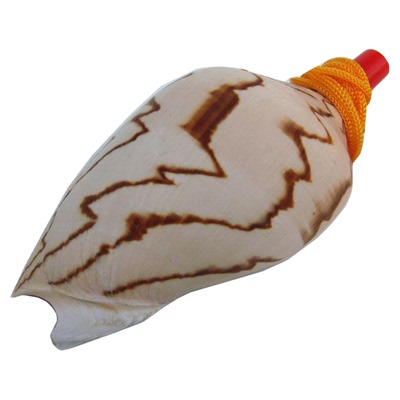 哨子海螺贝壳小礼物海螺工艺品