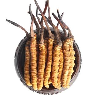 三江源冬虫夏草野生虫草新草青海虫草4根1g玉树冬虫夏草 高海拔