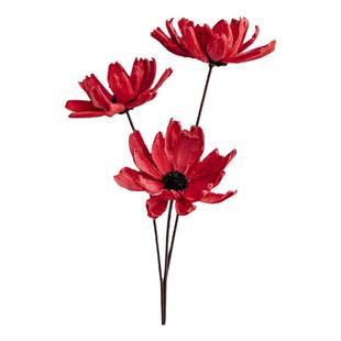 木直muzhi天然植物干莲花荷花红色干花日式风禅意装饰摆件木槿花