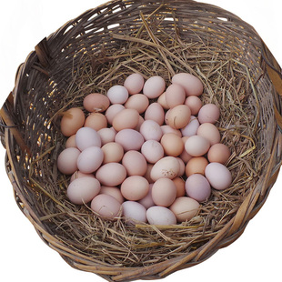 正宗土鸡蛋农家大山里散放新鲜草鸡蛋柴鸡蛋笨鸡蛋纯天然40枚包邮
