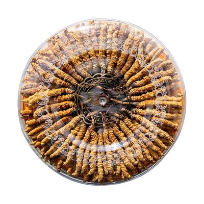 云麓新鲜冬虫夏草礼盒装