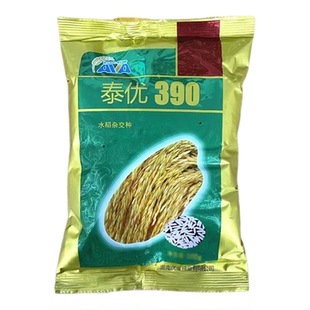 泰优390水稻种子再生稻 泰国香型粒长矮杆抗倒适应性广产量高