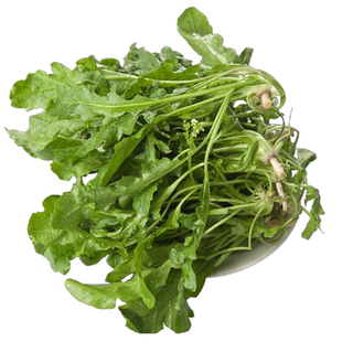 野生荠菜种子好养易活大叶荠荠菜种籽孑干净省心不挑环境成活率高