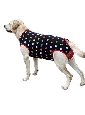 中大型犬狗狗拉拉金毛犬姨妈裤月经期防骚扰避孕连体生理裤可排便