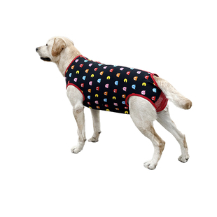 中大型犬狗狗拉拉金毛犬姨妈裤月经期防骚扰避孕连体生理裤可排便