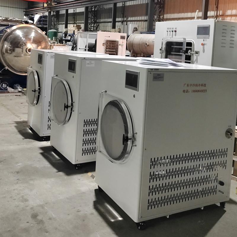 小型家用冻干机果蔬肉类燕窝糖果真空冷冻干燥机实验室用冻干粉机