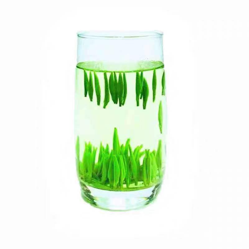 湖北茶新茶正宗竹溪毛尖箭茶