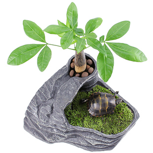 乌龟晒背台爬台浮岛造景缸宠物晒背台爬梯巴西龟晒台爬宠躲避洞穴