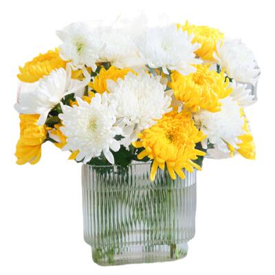 清明节黄菊白菊鲜花扫墓云南直发
