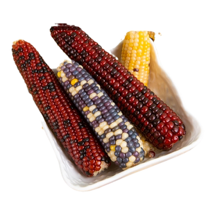 洁西仓鼠零食磨牙棒营养粮小玉米芯棒兔子金丝熊造景生活用品大全