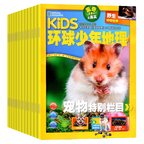 环球少年地理杂志少年版2026年1-8月【2025年/全年/半年订阅/2024/2023年典藏】kids美国国家地理少儿版小学生科学发现科普过期刊