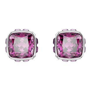 【情人节礼物】施华洛世奇Birthstone生辰石耳钉配饰饰品高级