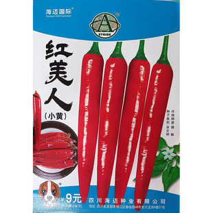 红美人二金条短线椒辣椒酱用蔬菜种子孑籽尖二荆条杂交青红春夏