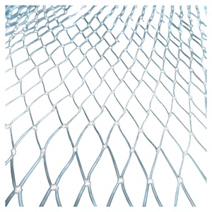 防鸟网尼龙大棚果树樱桃葡萄梨树果园防鸟用网泥鳅养殖网鱼塘天网