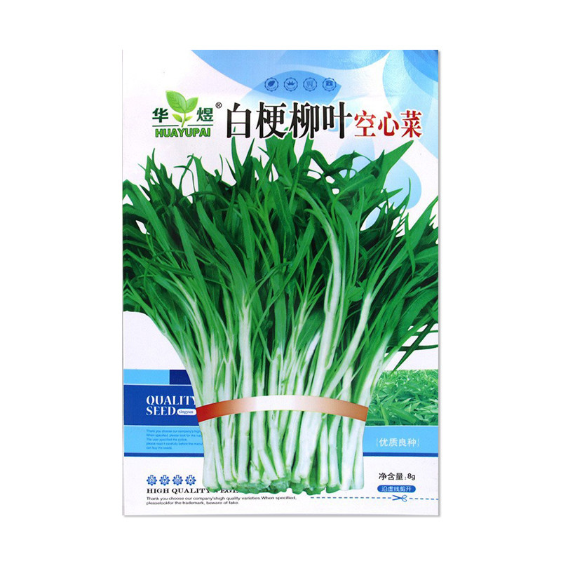 华煜白梗柳叶空心菜种子