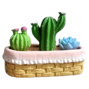 无聊了！看郁金香多肉盆栽电脑桌面小摆件治愈系工位装饰品小礼物