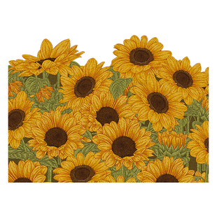 向日葵丝圈入户门地垫可裁剪进门家用脚垫大门口门垫门外蹭土耐磨